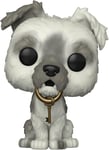 Funko 58964 POP Disney Walt Disney World 50th- Pirates Of The Caribbean - Dog w