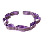 WPCASE Elastique Sport Fitness Bandes Elastiques Musculation Accessoires pour Fitness Et Musculation pour Musculation Pilates Squat Sport Crossfit RééDucation Physique Et Motrice Purple,108