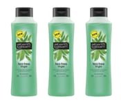 Alberto Balsam Shampoo Tea Tree Tingle 360ml x 3