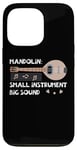 Coque pour iPhone 13 Pro Mandoline Petit Instrument Grand Son Mandoline Joueur Musicien