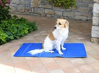 Italian Bed Linen Cooling MAT, SOGNI E CAPRICCI Pets, 40X50 CM, Blue, 40X50CM