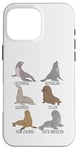 iPhone 16 Pro Max Different Type of Sea Lions Breed Collection,Cute Sea Lions Case