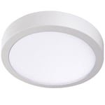 Plafond LED CARSA V2LED 24W 4000K valkoinen