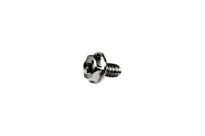 StarTech.com Replacement PC Mounting Screws #6-32 x 1/4in Long Standoff - Screw kit - silver - 0.2 in (pack of 50) - SCREW6_32 - skruvsats