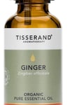 Tisserand Aromatherapy - Ginger Organic Oil (30 ml)