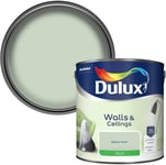 Dulux 500007 Silk Emulsion Paint For Walls And Ceilings - Willow Tree 2.5L