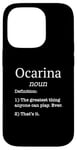 iPhone 14 Pro Ocarina Players / Ocarina Beginner / Funny Fake Definition Case