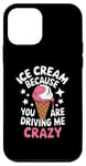 iPhone 12 mini Ice Cream Because You Are Driving Me Crazy Case