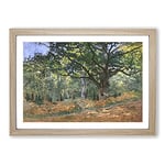 Big Box Art The Bodmer Oak Tree by Claude Monet Framed Wall Art Picture Print Ready to Hang, A2 (62 x 45 cm)