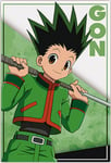 Hunter X Hunter Gon Standard Magnet