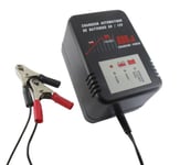 Chargeur de Batterie Tracteur Batterieladegrät Gel 12V Stiga Honda Etc