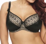 Curvy Kate Lola Bra Showgirl Size 32DD Padded Balcony Black Almond CK1901