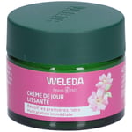 Weleda Crème de Jour Lissante Rose Sauvage & Thé Blanc ml