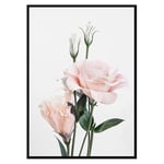 Poster Gallerix Rose Bouquet No1