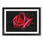 Big Box Art Red Rose Flower Vol.4 Paint Splash Framed Wall Art Picture Print Ready to Hang, Black A2 (62 x 45 cm)