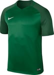 NIKE Nikyg Men Dry Team Trophy III Football Jersey - Pine Green/Gorge Green/Gorge Green/White, Small