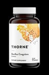 Thorne - Bacillus Coagulans (60 Caps)