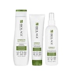 BIOLAGE Kit Strength Recovery shampoo 250ml + conditioner 200ml+ Spray 232ml