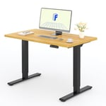 FLEXISPOT 2 Moteurs Bureau Assis Debout 120x80 Une Pièce, Bureau Debout électrique avec Panneau à Fonctions Mémoires, Bureau Réglable en Hauteur Électrique, Charge 100kg, Noir+Érable