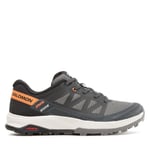 Trekking-skor Salomon Outrise W L47219300 Grå