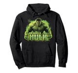 Marvel Avengers: Infinity War We Have A Hulk Pullover Hoodie