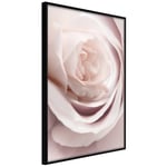 Plakat - Porcelain Rose - 30 x 45 cm - Sort ramme