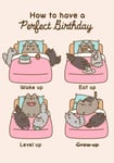 Pusheen the Cat - How to Have a Perfect Birthday - Blank Birthday Card