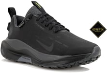 Nike Infinity RN 4 Gore-Tex W Chaussures de sport femme