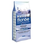 Monge BWild Grain Free All Breeds Adult Ansjovis, potatis och ärtor - Ekonomipaket: 2 x 12 kg