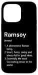 Coque pour iPhone 14 Pro Max Ramsey Définition du nom Dictionnaire amusant