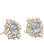 Lily and Rose Emily earrings - Agave / Ignite Guld