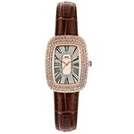 Basfur Dress Watch Fe-Montre-026-01