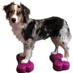 FitPAWS balanceplatform til hunde 2 stk. Mini K9FITbone 29x16,5x6 cm