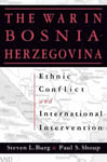 The War in Bosnia-Herzegovina