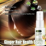 2x Ginger Fast Hair Growth Loss Serum Essential Oil Anti Preventing Hair Loose