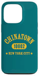 iPhone 13 Pro CHINATOWN 10002 NEW YORK CITY / NYC Athletic Design Case