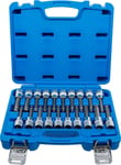 5170|Jeu De Douilles À Embouts|12,5 Mm (1/2"")|Six Pans Femelle,Profil T (Pour Torx),Polygone Femelle (Pour Xzn) Avec Tête Sphérique|20 Pièces