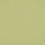 Westcott X-Drop Pro Wrinkle-Resistant Backdrop 2.4x2.4m -taustakangas - Light Moss Green