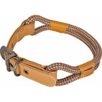 Zolux - Collier imao 50 cm x 9 mm Hyde park chocolat pour chien Marron