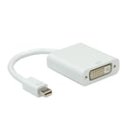 ROLINE Mini Displayport-Dvi Adapter 