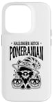 Coque pour iPhone 14 Pro Halloween avec Poméranie Poméraniens Pom Dog