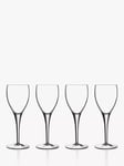 Luigi Bormioli Michelangelo White Wine Glass, Set of 4, 235ml, Clear