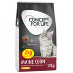 Concept for Life Maine Coon Adult Kylling - FORBEDRET OPSKRIFT! - 10 + 2 kg gratis!