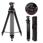 K&F Concept 75"/191cm Video Tripod, Heavy Duty Camera Tripod with 360° Fluid Head Load up to 17.6lb/8kg, Quick Release Plate Compatible with Canon Nikon Sony and Other DSLR Camera Camcorder