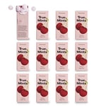 True Mints Cherry Flavour (12-pack) - Sugar Free Mints - Xylitol Mints - Fruit Pastilles - Sugar Free & Plantbased Travel Sweets with Natural Flavours