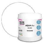 BOX DECO COULEURS Acrylic Wood Furniture Paint Velour-Satin Look Aqua Wood – 2.5 L, White