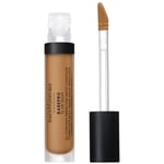 bareMinerals Barepro All-Over Skin-Perfecting Matte Concealer Mineral Spf20 7.5ml (various shades) - Medium 300 Warm