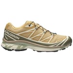 Chaussures Salomon  Baskets XT-6 GTX Antelope/Icicle/Portabella