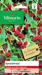 Vilmorin - Epinard fraise - légume d'autrefois - Feuilles et fruits à déguster - ses feuilles au goût de noisette et ses fruits au goût de betterave - culture en pot - hauteur de la plante 1m