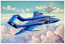 Trumpeter 005808 1/48 de Havilland DH 110 Sea Vixen FAW. 2 Kit de modélisme en Plastique, Accessoires de modélisme ferroviaire, Loisirs, modélisme, Multicolore